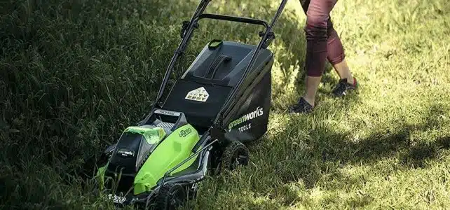 Tondeuse électrique VS tondeuse thermique, laquelle choisir ?